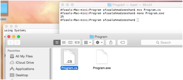 Program and build output shown